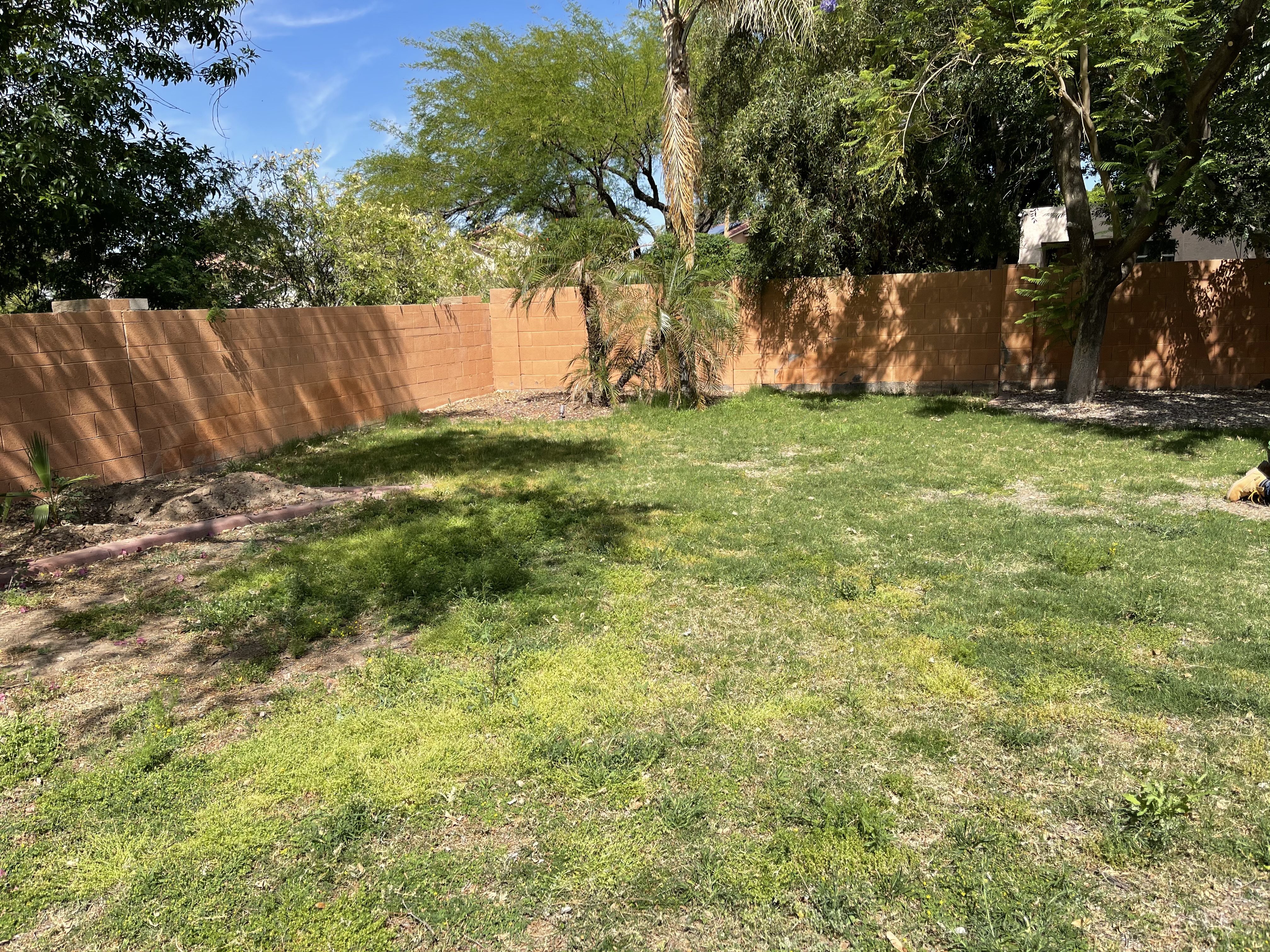 Hybrid Sod Installation