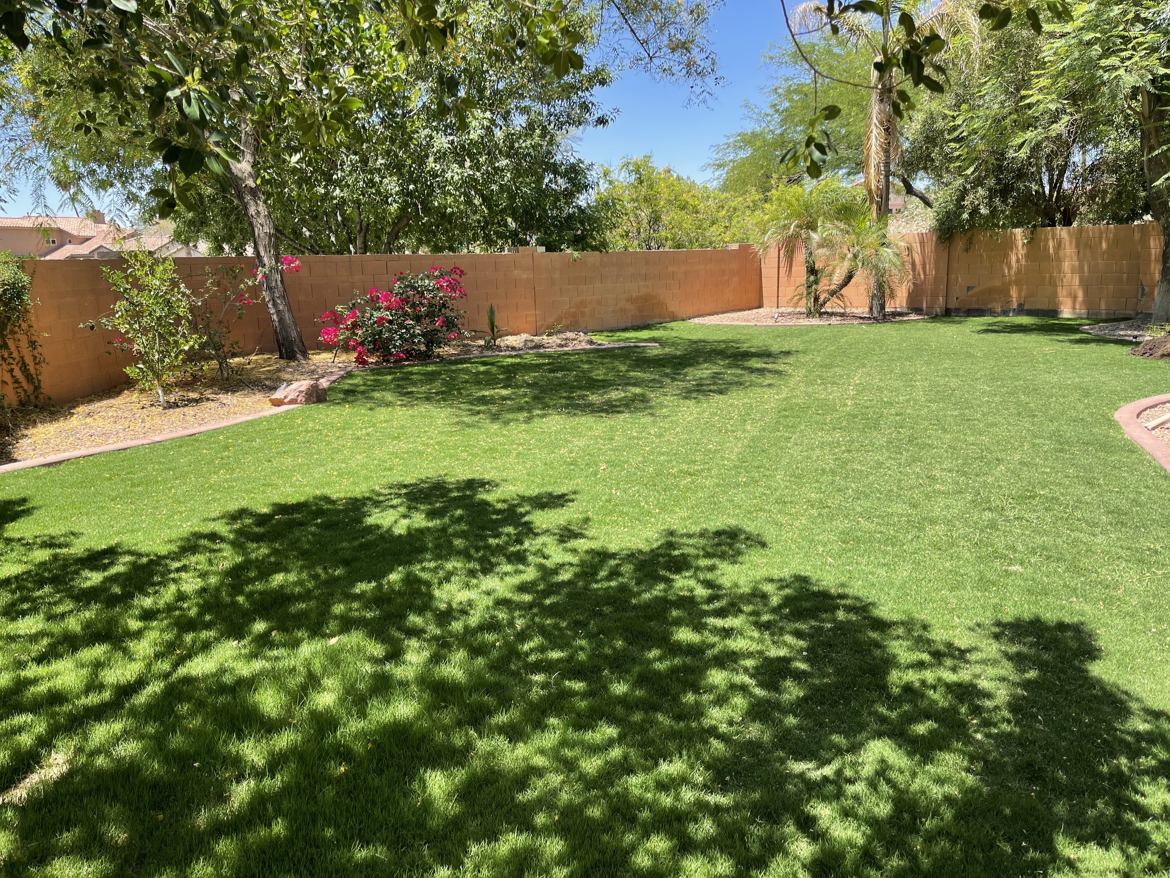 Bermuda Sod