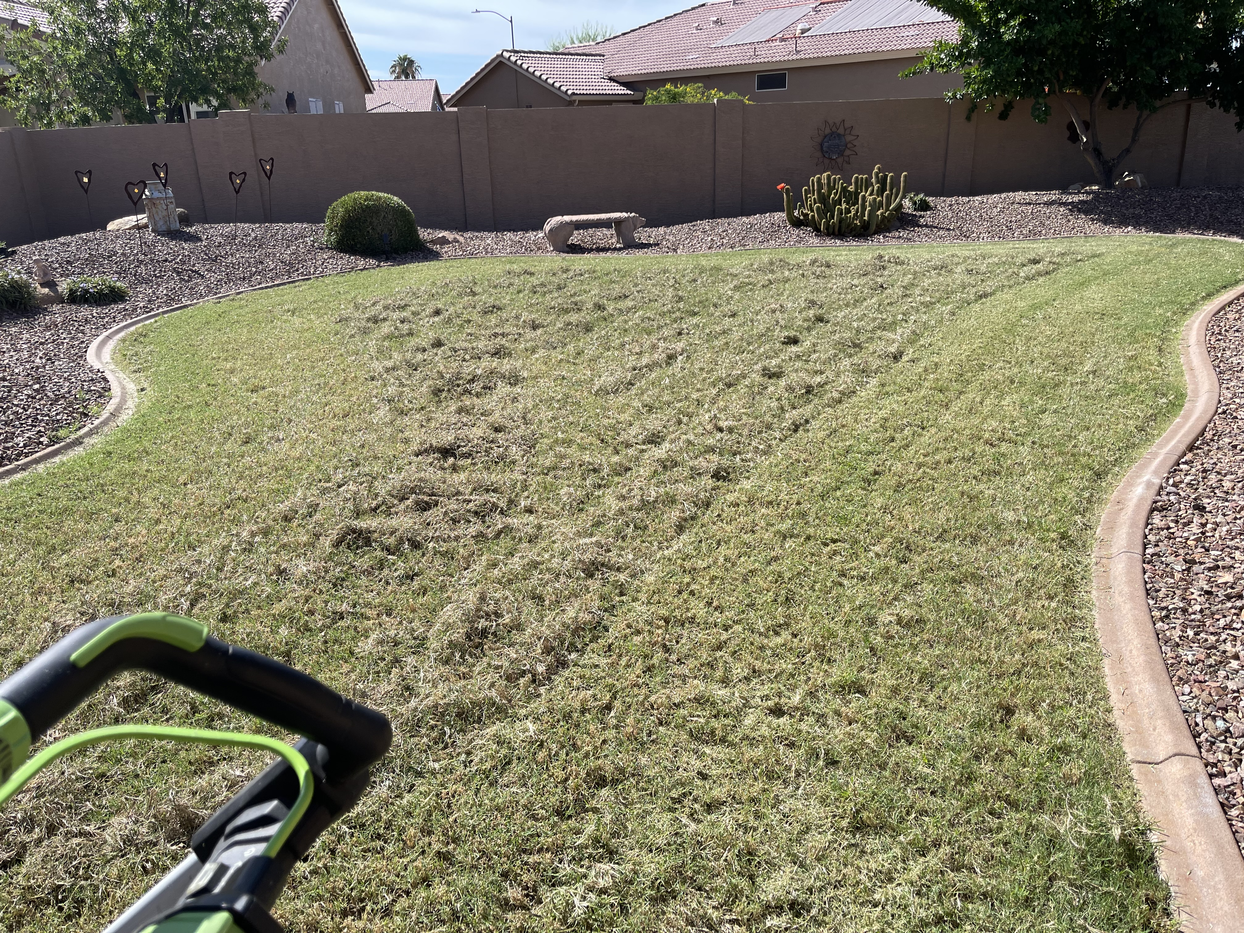 Dethatching/Verticutting