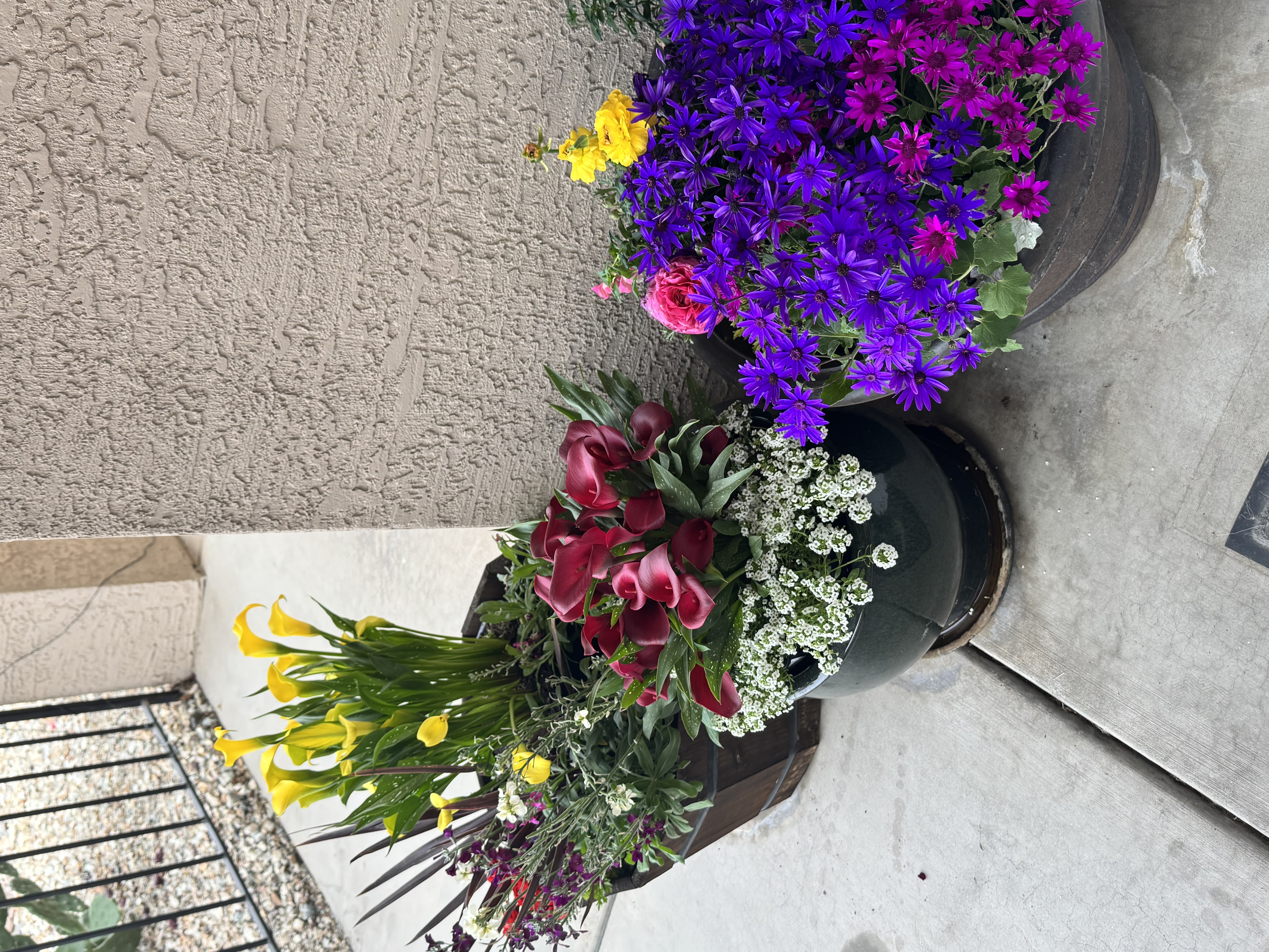 Planters color