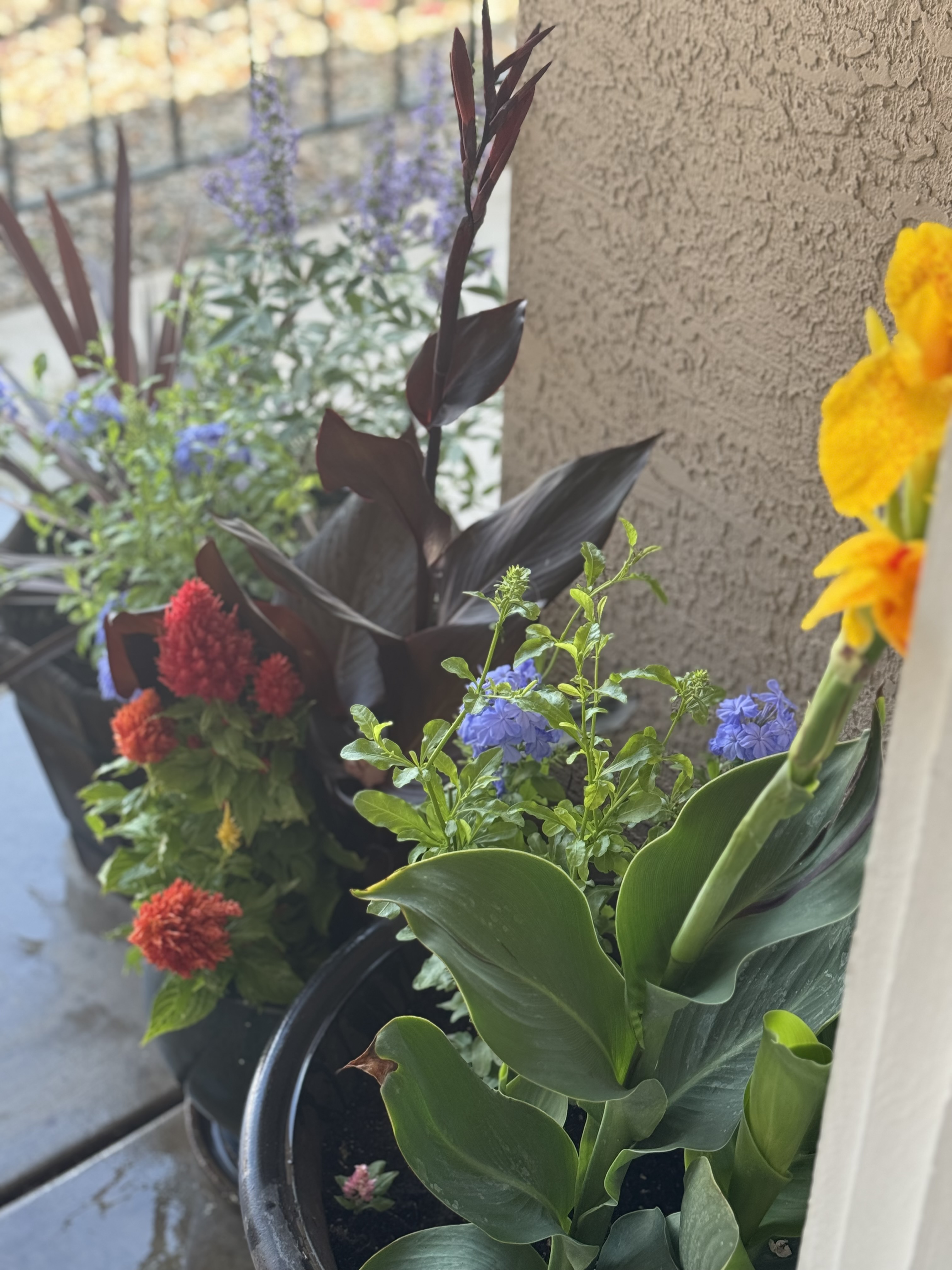 Corner Planters